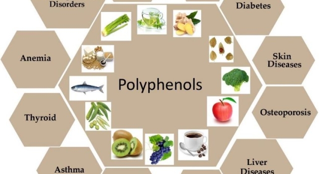 Blog 28 Health-benefits-effect-of-dietary-polyphenols-Polyphenols-are-largely-found-in-fruits