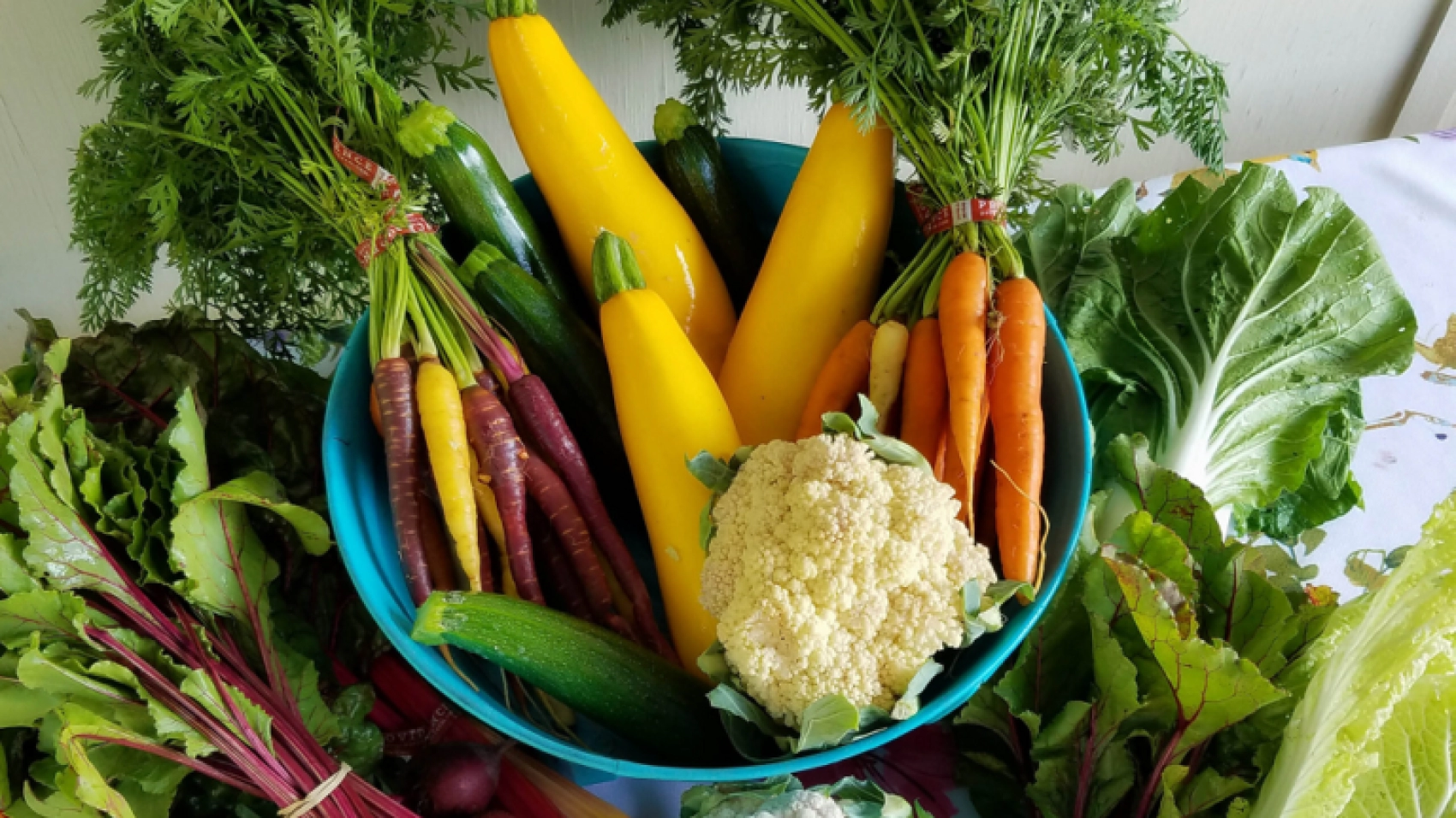 Naturopathic-medicine-and-digestive-health-Final-Image-768x481