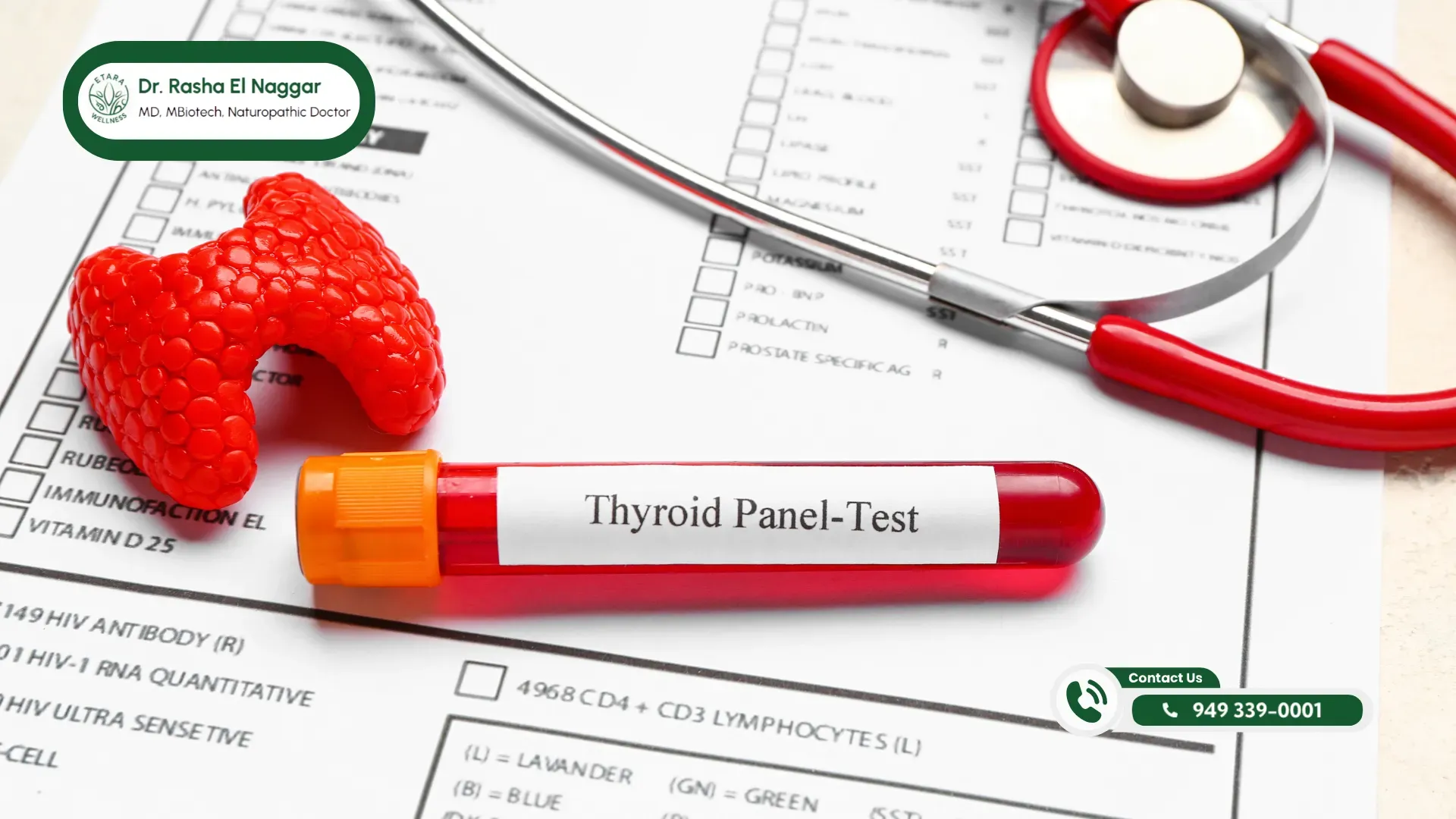 Top 5 Benefits of Thyroid Optimization 1 Thyroid-Optimization